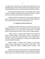 Diplomdarbs 'Uzņēmuma "Birzītes 6" vadīšanas procesa pilnveidošanas iespējas', 28.