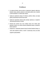 Diplomdarbs 'Uzņēmuma "Birzītes 6" vadīšanas procesa pilnveidošanas iespējas', 42.