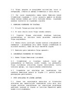 Paraugs 'Nomas līguma paraugs', 2.