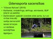 Prezentācija 'Netradicionālās sacensības', 10.