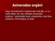 Prezentācija 'Asinsrites orgānu sistēma', 14.