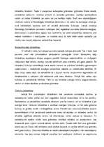 Referāts 'Bibliotēkas loma sabiedrībā', 8.