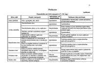 Referāts 'Risks un nenoteiktība uzņēmējdarbībā', 22.