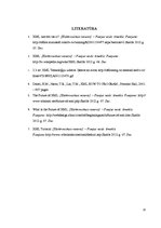 Referāts 'XML tehnoloģijas', 15.