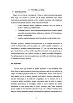 Referāts 'Cilvēku ar īpašām vajadzībām iesaistīšana darba tirgū', 3.