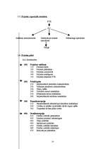 Referāts 'Cilvēku ar īpašām vajadzībām iesaistīšana darba tirgū', 14.