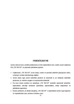 Referāts 'Pārdošanas apjoma palielināšanas iespējas uzņēmumā', 23.