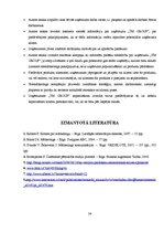Referāts 'Pārdošanas apjoma palielināšanas iespējas uzņēmumā', 24.