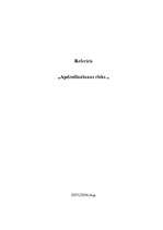 Referāts 'Apdrošināšanas risks', 1.