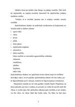 Referāts 'Apdrošināšanas risks', 3.