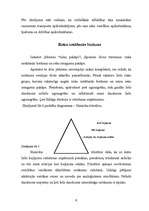 Referāts 'Apdrošināšanas risks', 6.