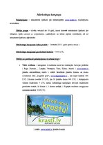 Paraugs 'Mārketinga kampaņa', 1.