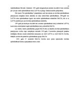 Referāts 'Apdrošināšanas mārketings', 10.