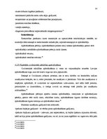 Referāts 'Apdrošināšanas mārketings', 34.