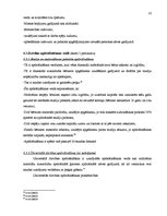 Referāts 'Apdrošināšanas mārketings', 35.