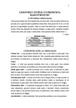 Biznesa plāns 'Salami desas ražošanas plāns', 3.