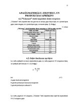 Biznesa plāns 'Salami desas ražošanas plāns', 13.