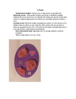 Konspekts 'Šūšanas mape pirmsskolā', 5.