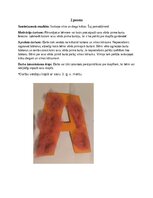 Konspekts 'Šūšanas mape pirmsskolā', 7.