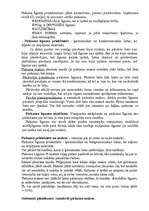 Konspekts 'Saistību tiesības', 25.