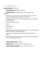 Biznesa plāns 'Skaistumkopšanas salons "Skaistums"', 4.