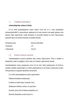 Biznesa plāns 'Skaistumkopšanas salons "Skaistums"', 5.