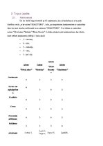 Biznesa plāns 'Skaistumkopšanas salons "Skaistums"', 8.