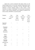 Biznesa plāns 'Skaistumkopšanas salons "Skaistums"', 10.