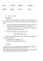 Biznesa plāns 'Skaistumkopšanas salons "Skaistums"', 13.