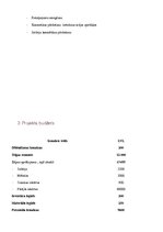 Biznesa plāns 'Skaistumkopšanas salons "Skaistums"', 15.