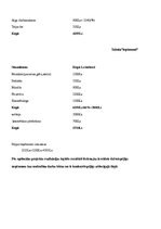 Biznesa plāns 'Skaistumkopšanas salons "Skaistums"', 17.