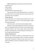 Referāts 'Vasaras dārzs', 5.