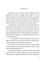 Referāts 'Vasaras dārzs', 11.