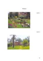 Referāts 'Vasaras dārzs', 19.