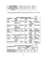 Referāts 'Maize', 6.