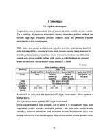 Referāts 'Maize', 10.