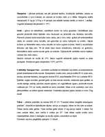 Referāts 'Maize', 12.