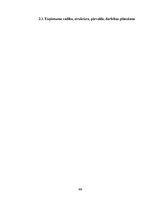 Prakses atskaite 'Prakses pārskats "Solvay Business Services"', 185.