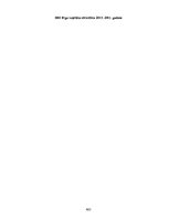 Prakses atskaite 'Prakses pārskats "Solvay Business Services"', 423.