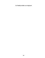 Prakses atskaite 'Prakses pārskats "Solvay Business Services"', 486.