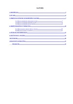 Prakses atskaite 'Preču izvēli ietekmējošie faktori lielveikalos: Maxima un Rimi pircēju viedokļi', 2.