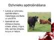 Prezentācija 'Dzīvnieku tiesības', 36.