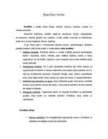 Konspekts 'Konfliktu būtība', 1.