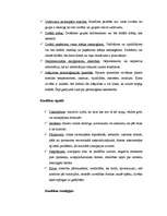 Konspekts 'Konfliktu būtība', 2.