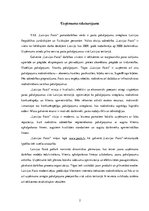 Referāts 'Korporatīvo sabiedrisko attiecību plāns VAS "Latvijas Pasts"', 2.