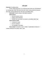 Konspekts 'Prezentēšanas māksla - zinātniski pētnieciskais darbs', 3.