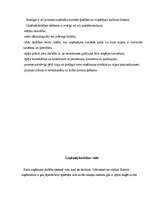 Referāts 'Uzņēmuma dibināšana ', 5.