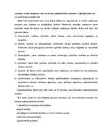 Referāts 'Uzņēmuma dibināšana ', 6.