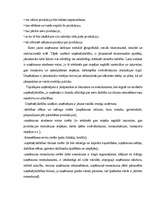 Referāts 'Uzņēmuma dibināšana ', 9.