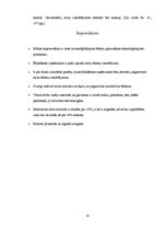 Referāts 'Miltu ēdieni', 19.